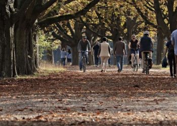 Outono começou! Saiba o que esperar da estação, que vai durar até junho