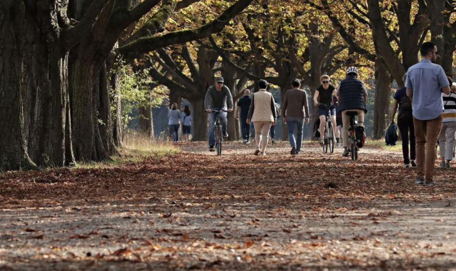 Outono começou! Saiba o que esperar da estação, que vai durar até junho