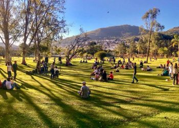 Regras do Parque Municipal de Poços de Caldas geram polêmica: novo horário para cães e atividades