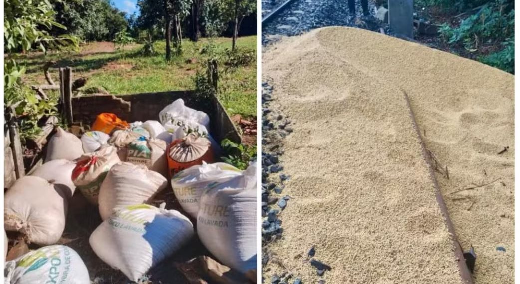 PCSP prende homens após furto de sacas de soja