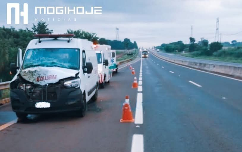 Cavalo solto provoca acidente com ambulância de São João da Boa Vista na rodovia SP-147