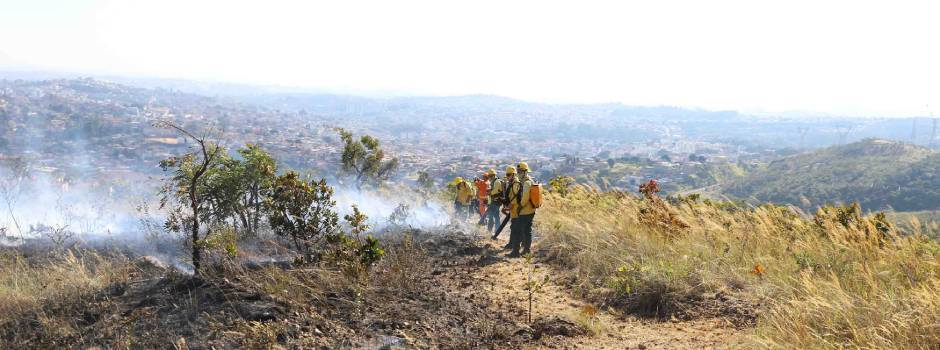 Últimos dias para se inscrever! Corpo de Bombeiros de Minas Gerais seleciona brigadistas florestais
