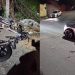 VÍDEO: moto fica irreconhecível após acidente em Poços de Caldas