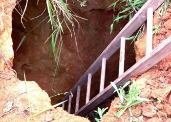 Corpo em decomposição é encontrado dentro de buraco em Botelhos