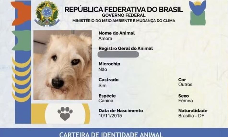 ‘RG Animal’: veja o passo a passo de como criar o documento gratuito para cães e gatos
