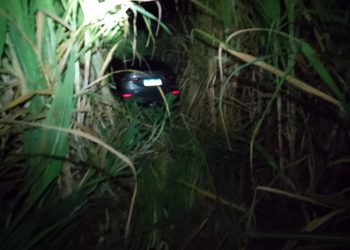 Veículo sai da pista e cai em ribanceira na MGC-491