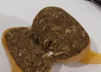 Mulher é presa ao tentar entrar em penitenciária com maconha no ânus em Casa Branca