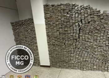 Carga pesada: Polícia Civil apreende mais de uma tonelada de maconha em Minas