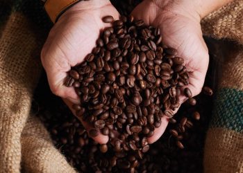 Governo reprova três marcas de café por serem impróprias para consumo; confira