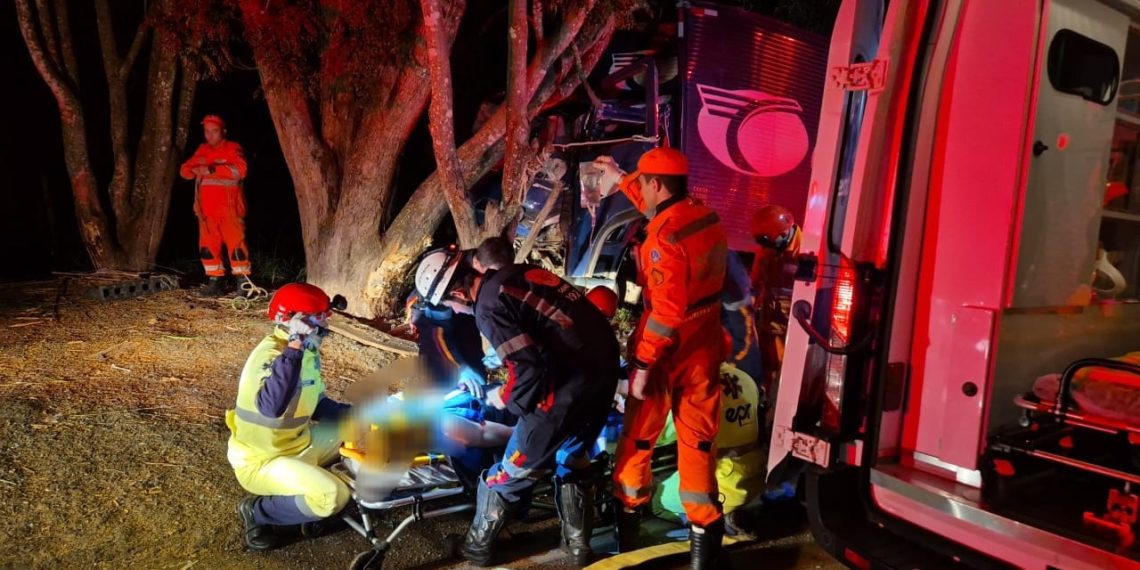 Caminhoneiro fica gravemente ferido após acidente na MGC-491
