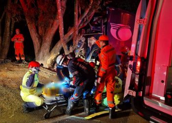 Caminhoneiro fica gravemente ferido após acidente na MGC-491