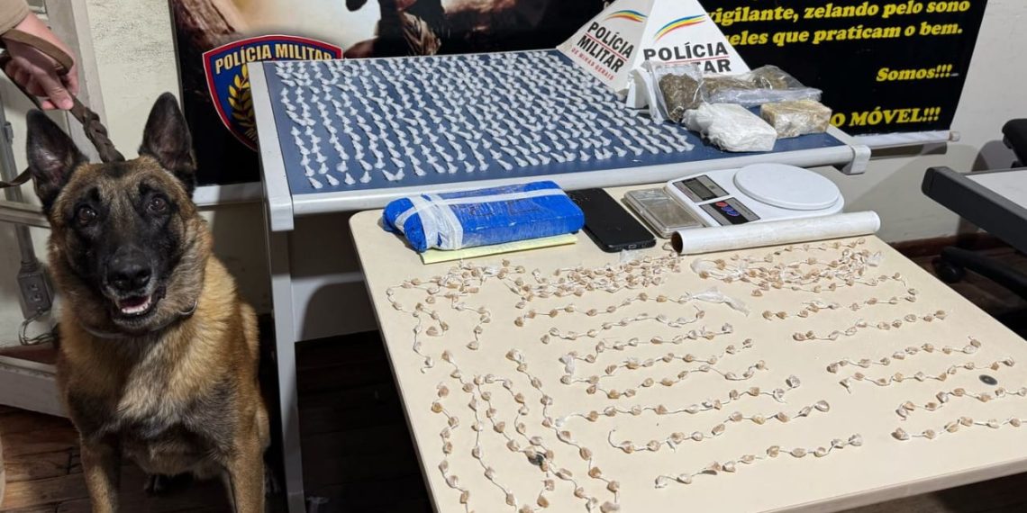Com apoio de cão de faro, PM apreende drogas e prende traficante em Poços de Caldas