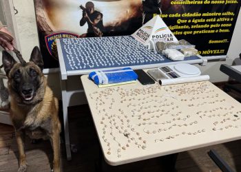Com apoio de cão de faro, PM apreende drogas e prende traficante em Poços de Caldas