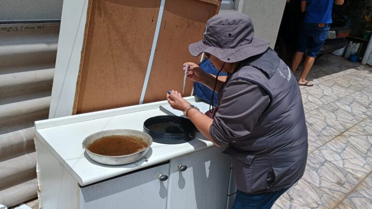 Poços de Caldas tem baixo risco de infestação por Aedes aegypti, aponta segundo LIRAa de 2025