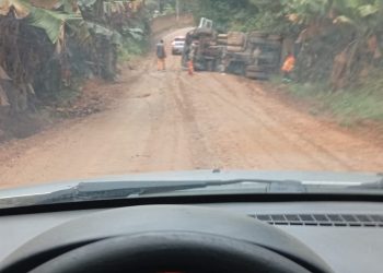 Caminhão tomba e deixa uma pessoa ferida em Andradas