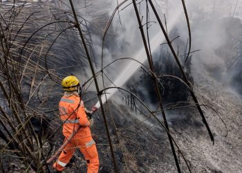 Incêndio antinge cerca de 800 pés de banana em propriedade rural de Andradas
