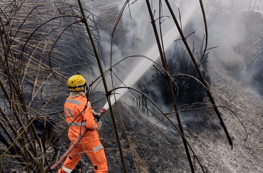 Incêndio antinge cerca de 800 pés de banana em propriedade rural de Andradas
