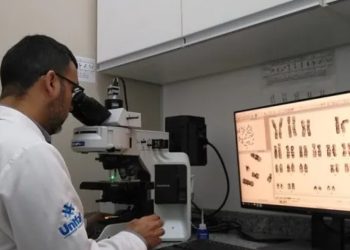 Exames genéticos de medula são oferecidos grátis pelo SUS e UNIFAL no Sul de Minas