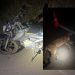 Motociclista fica ferido e onça morre após acidente na MGC-267 em Poços de Caldas