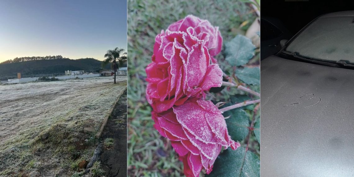 Veja imagens da geada desta quarta-feira (25) em Poços de Caldas e na região