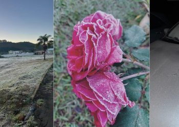 Veja imagens da geada desta quarta-feira (25) em Poços de Caldas e na região