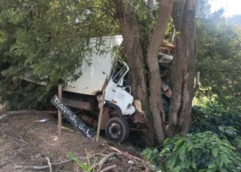 Motorista morre em acidente de caminhão na LMG-889