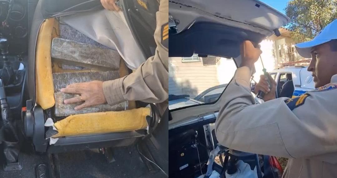 Polícia Militar Rodoviária apreende carga de drogas avaliada em R$ 140 mil