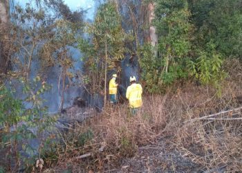 Incendiário é preso depois de atear fogo em propriedade rural