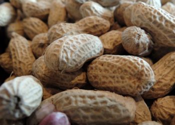 Empresa é condenada a indenizar mulher em R$ 10 mil após filhos dela ingerirem doces de amendoim com larvas