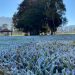Inmet emite alerta de queda de temperatura para Poços e cidades vizinhas