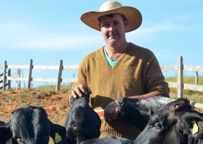 Fertilização in vitro: parceria melhoria genética de gados na região