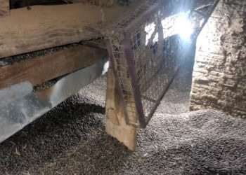 Mulher morre ao cair em silo de café no Sul de Minas