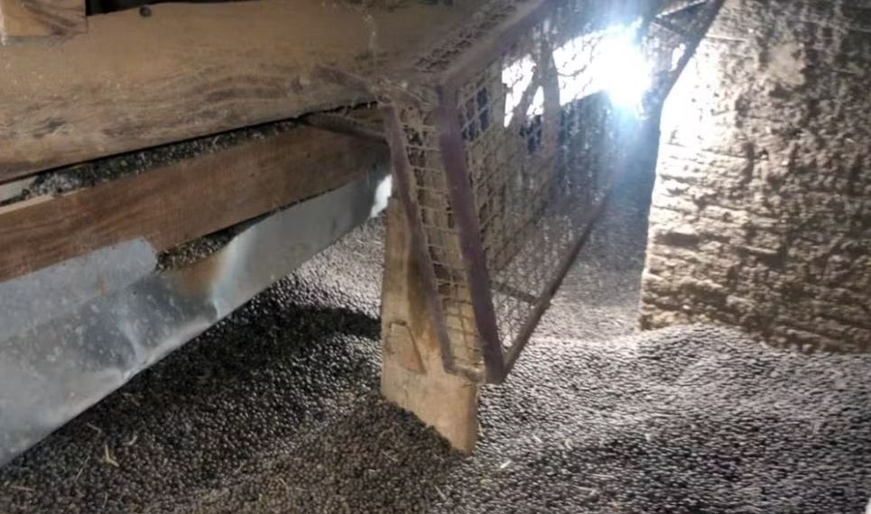 Mulher morre ao cair em silo de café no Sul de Minas