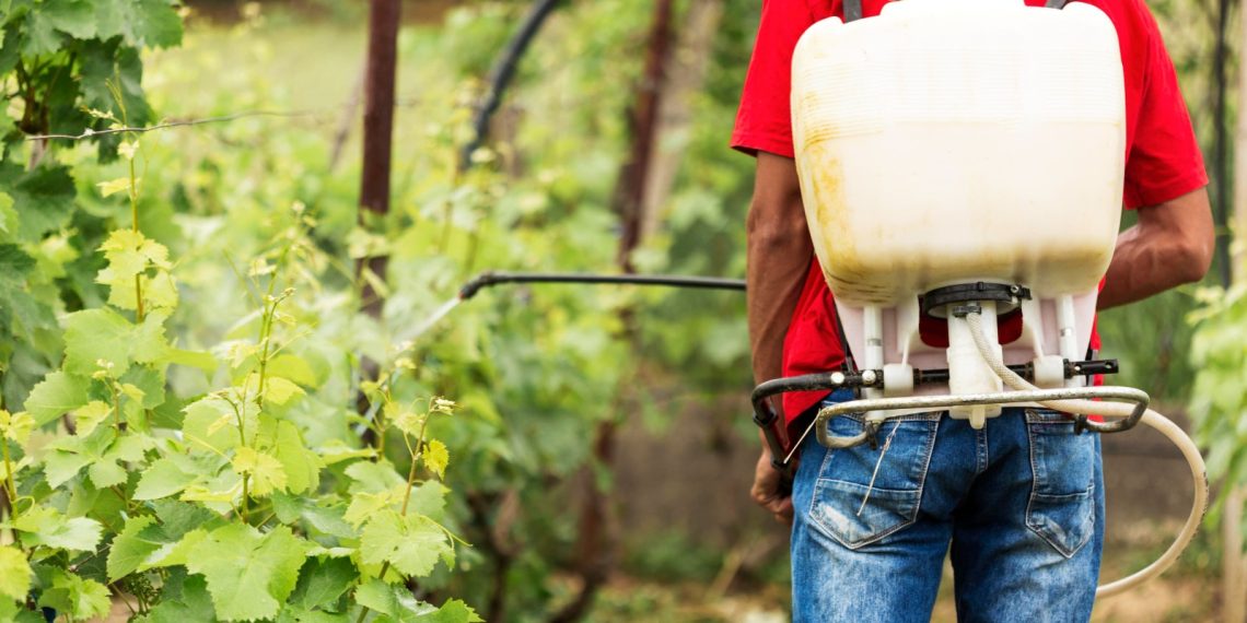 Justiça condena empresa do Sul de Minas a pagar R$ 40 mil por doença causada por agrotóxicos