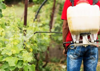 Justiça condena empresa do Sul de Minas a pagar R$ 40 mil por doença causada por agrotóxicos