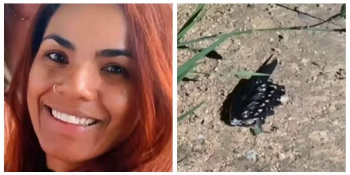 Mulher que matou ex-cunhada na frente da filha da vítima é presa em Poços de Caldas