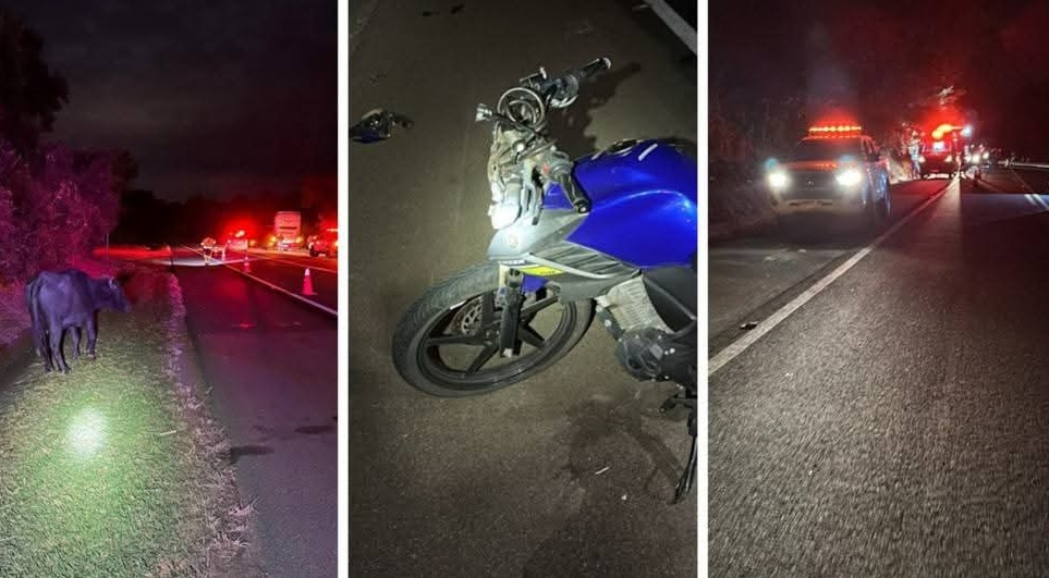 Mulher morre após moto atingir búfalo e se chocar contra ônibus de turismo; ela e o marido voltavam de Poços para a cidade natal