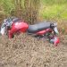 Motociclista morre e filho fica ferido após acidente em rodovia da região