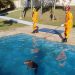 Capívara é resgatada após cair dentro de piscina de casa em zona rural