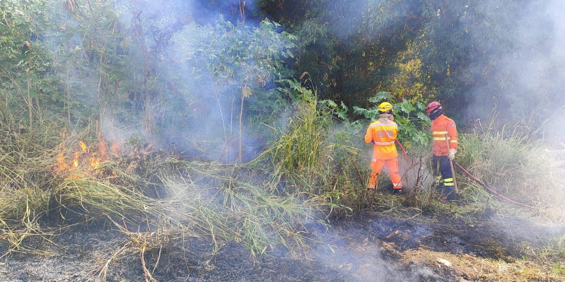 Bombeiros combatem dois incêndios em área de mata ciliar em Andradas