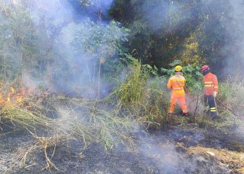 Bombeiros combatem dois incêndios em área de mata ciliar em Andradas
