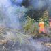 Bombeiros combatem dois incêndios em área de mata ciliar em Andradas