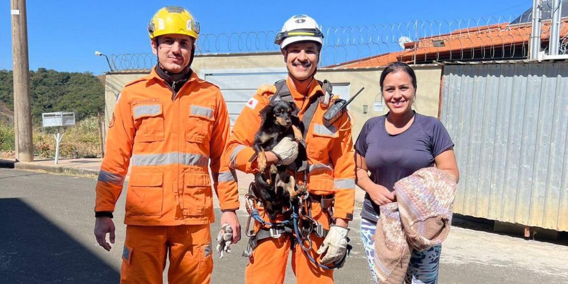 Bombeiros resgatam cachorro abandonado de área de difícil acesso em Poços de Caldas