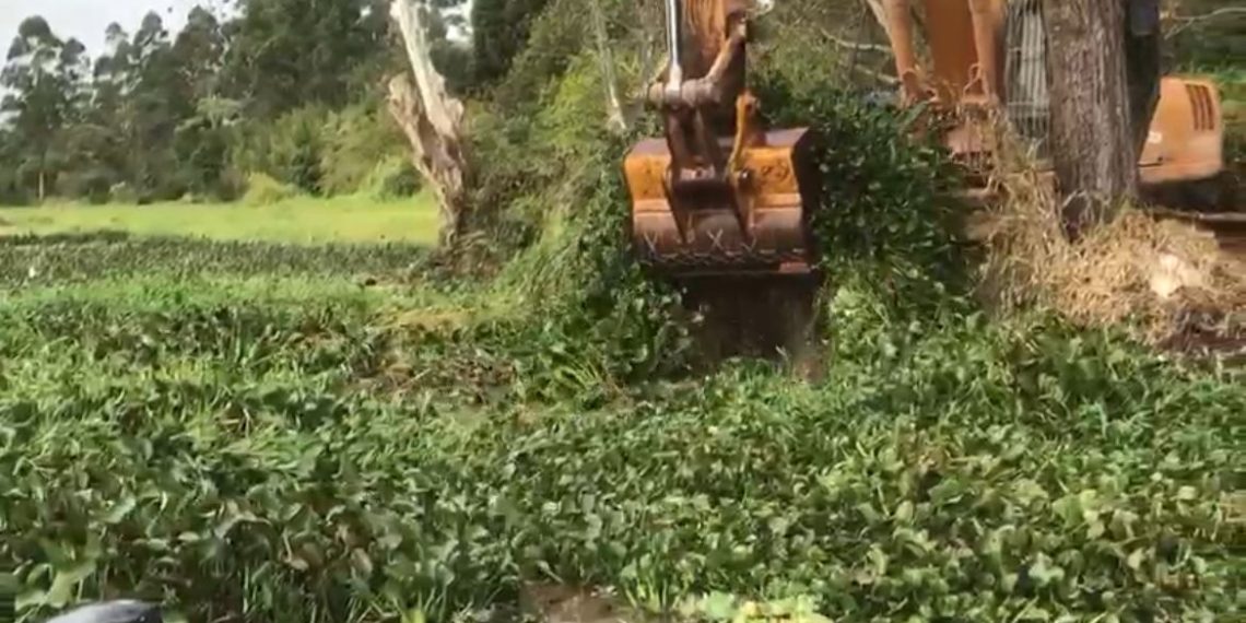 Prefeitura de Poços remove mais de 2 mil toneladas de plantas aquáticas da Represa Bortolan