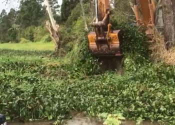 Prefeitura de Poços remove mais de 2 mil toneladas de plantas aquáticas da Represa Bortolan