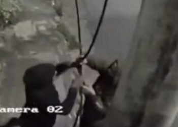 VÍDEO: Imagens mostram homens furtando fiação no Campo das Antas em Poços