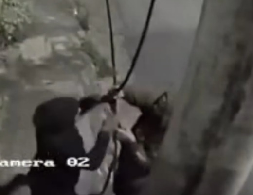 VÍDEO: Imagens mostram homens furtando fiação no Campo das Antas em Poços