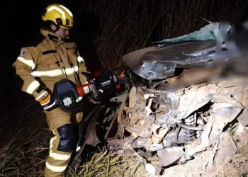 Motorista morre após batida frontal entre caminhonete e caminhão