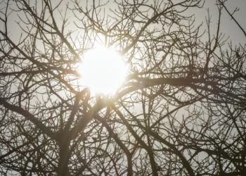 Governo de Minas emite alerta para baixa umidade do ar até domingo (6); veja como se prevenir