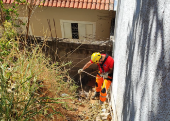 Cachorro cai em barranco de 4 metros e é resgatado por bombeiros em Andradas